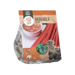 Baltus Rhubarb Rabarber bloembollen per 1 stuks